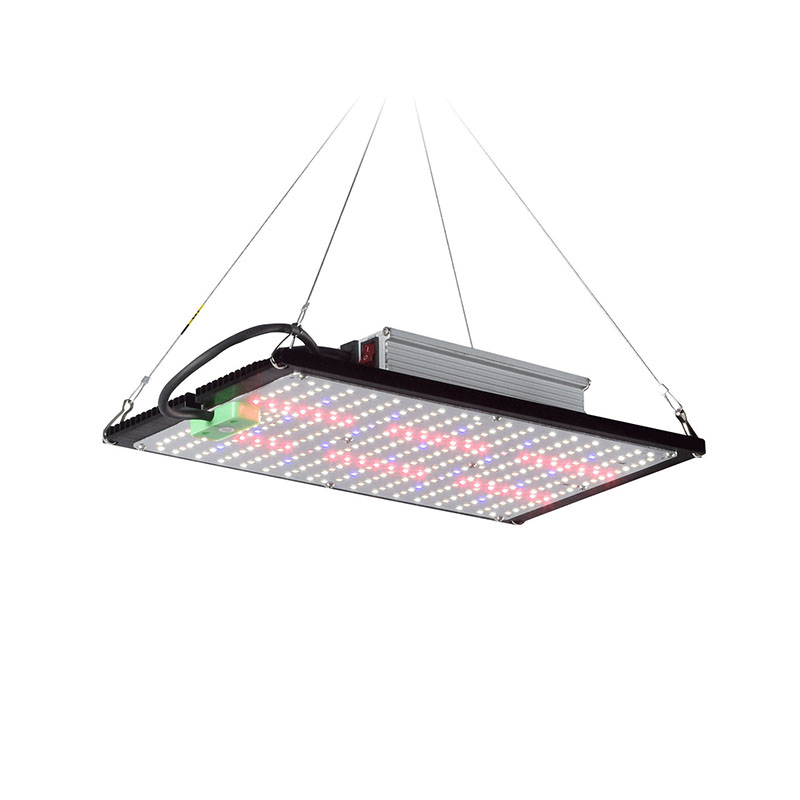 Plant Grow Light Full Spectrum - LED Quantum-Board Kweeklamp Volledig Spectrum Hangende