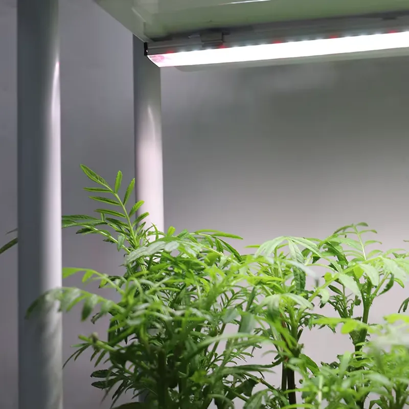 Smart Garden System - Verplaatsbaar verticaal 3-laags zelfwaterende slimme tuinplantbak
