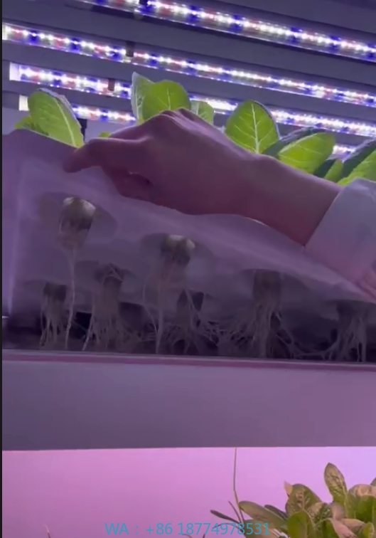 Hydroponic Tower - f Kas Landbouwuitrusting Groeien Paddestoel Groente