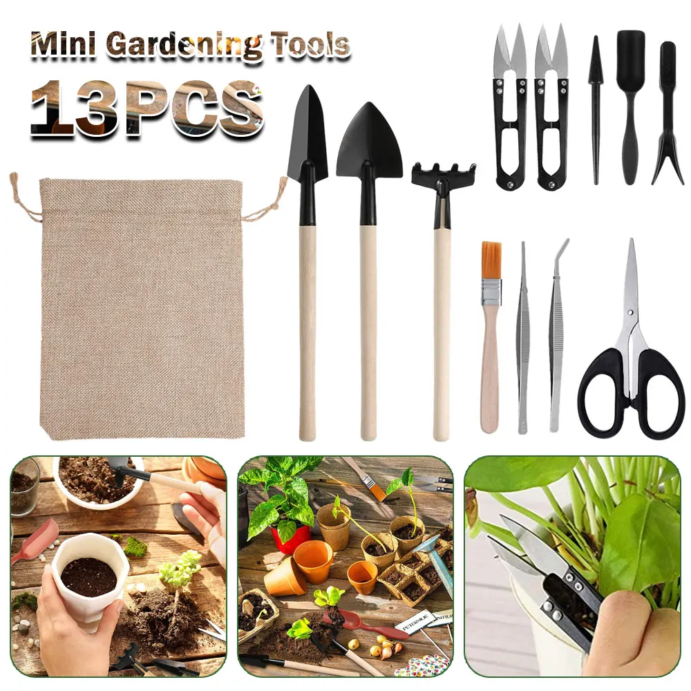 Indoor Garden Kit - 13 Stuks Sappige Planten Gereedschapsset Voor