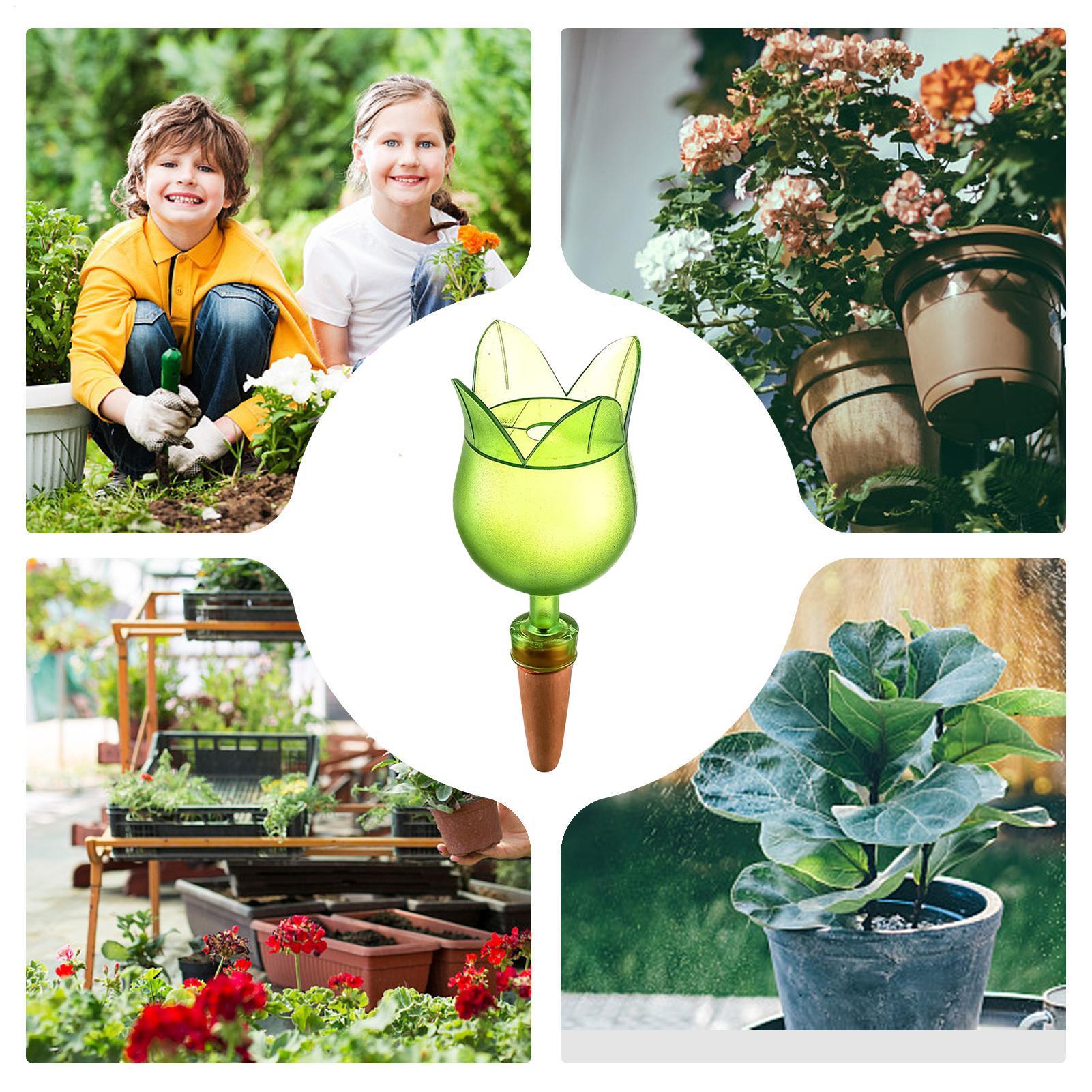 Zelfbewateringsapparaten voor  - Self Watering Planter recensie en prijs