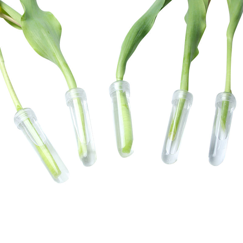 20 Stuks Plastic Verse Bloem V - Hydroponic Grow Pod recensie en prijs