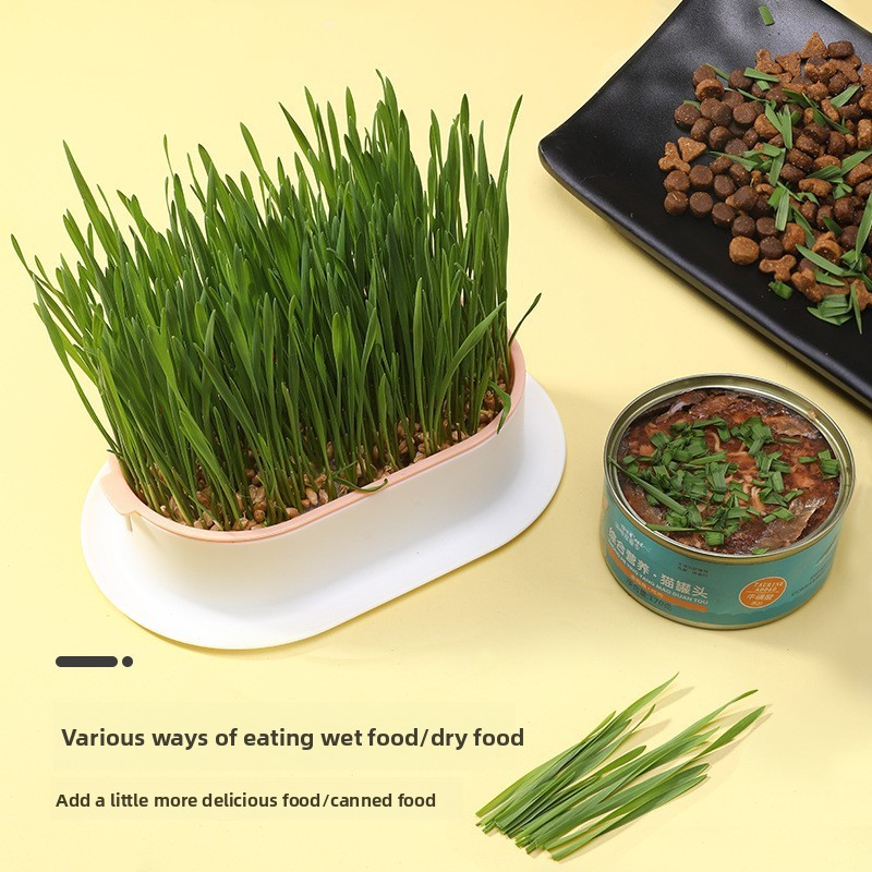Dierbenodigdheden Kattensnacks - Hydroponic Grow Pod recensie en prijs