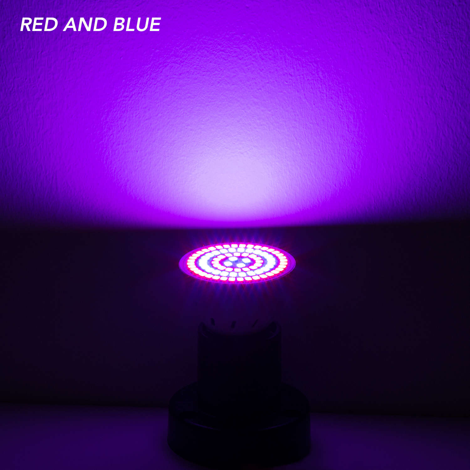 E27 Led Phyto Lamp Volledige S - Plant Grow Light Full Spectrum recensie en prijs