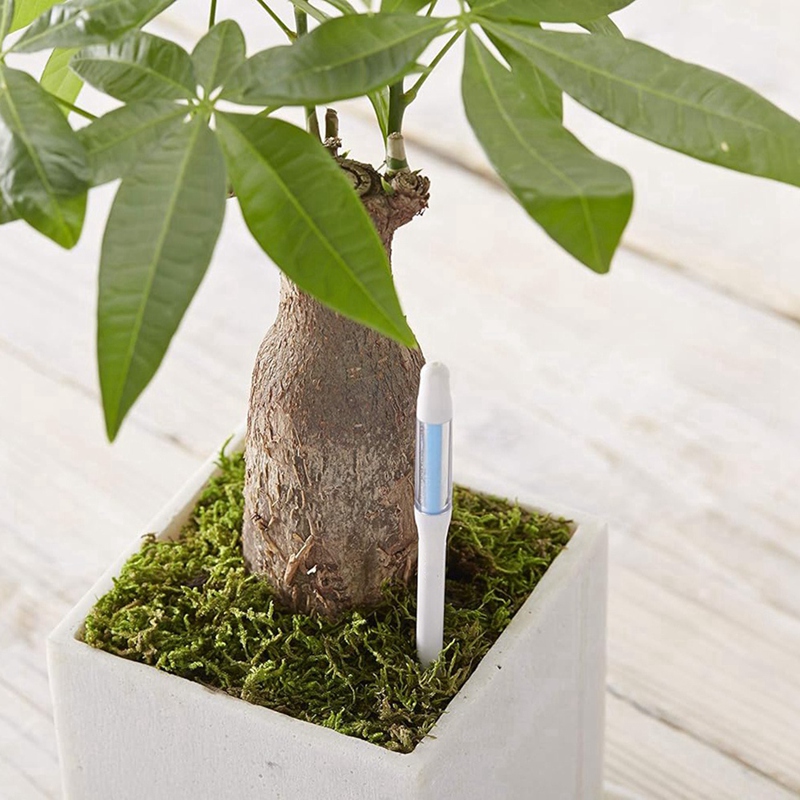 Aquameter, 5 stuks, plantenbod - Plant Sensor recensie en prijs