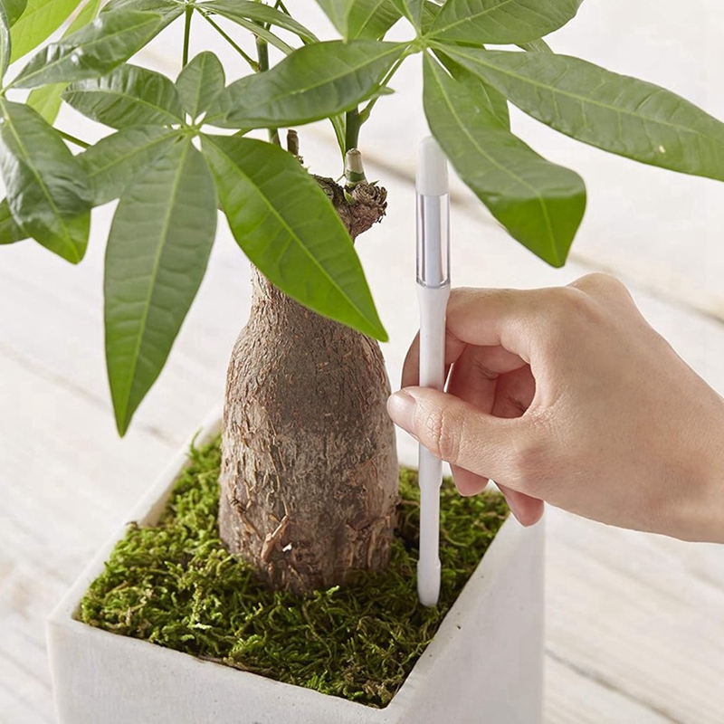 Aquameter, 5 stuks, plantenbod - Plant Sensor recensie en prijs