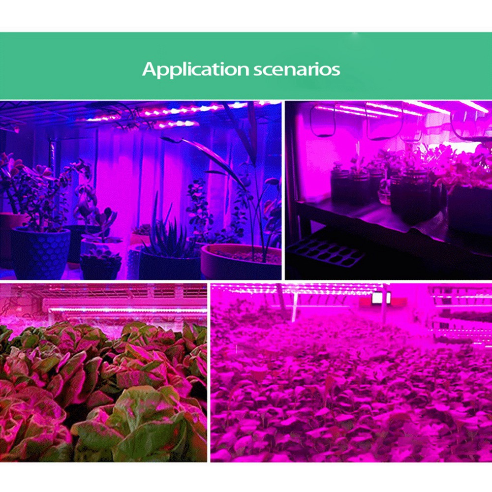 ABUH-5V 5 Meter Plantengroei L - Plant Grow Light Full Spectrum recensie en prijs