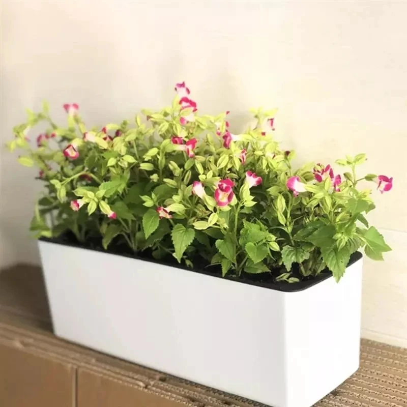 Rechthoekige Luie Bloempot Ing - Hydroponic Grow Pod recensie en prijs