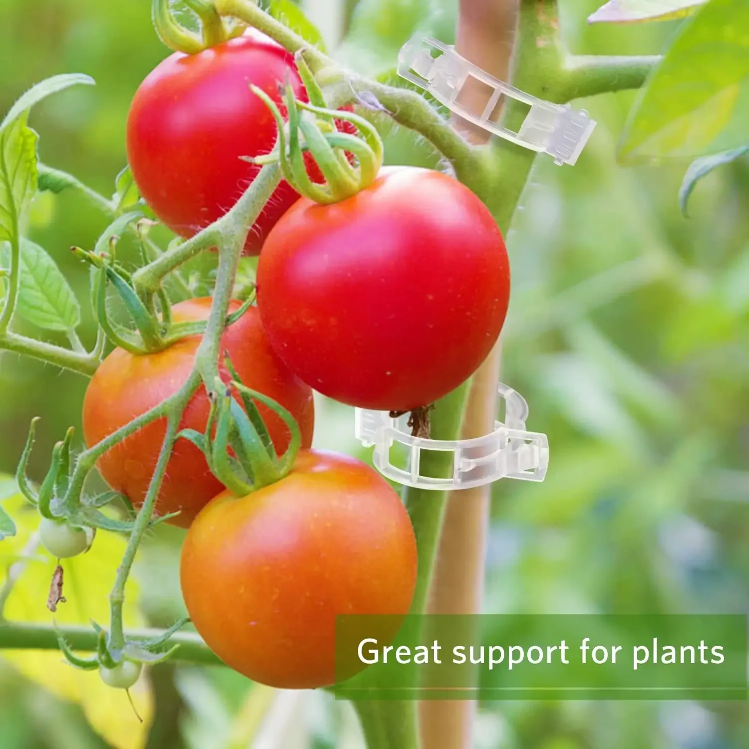 Herbruikbare plastic plantenst - Smart Garden Kit recensie en prijs