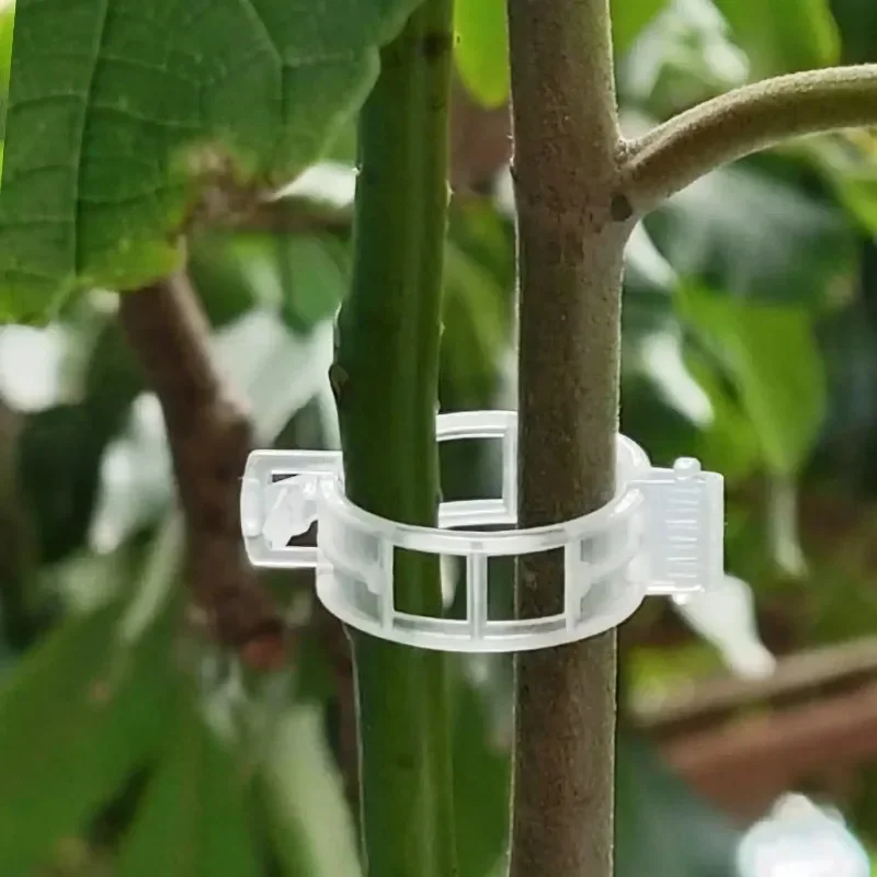 Herbruikbare plastic plantenst - Smart Garden Kit recensie en prijs