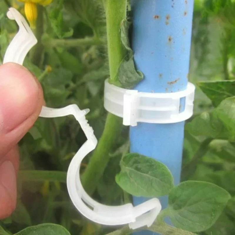 Herbruikbare plastic plantenst - Smart Garden Kit recensie en prijs