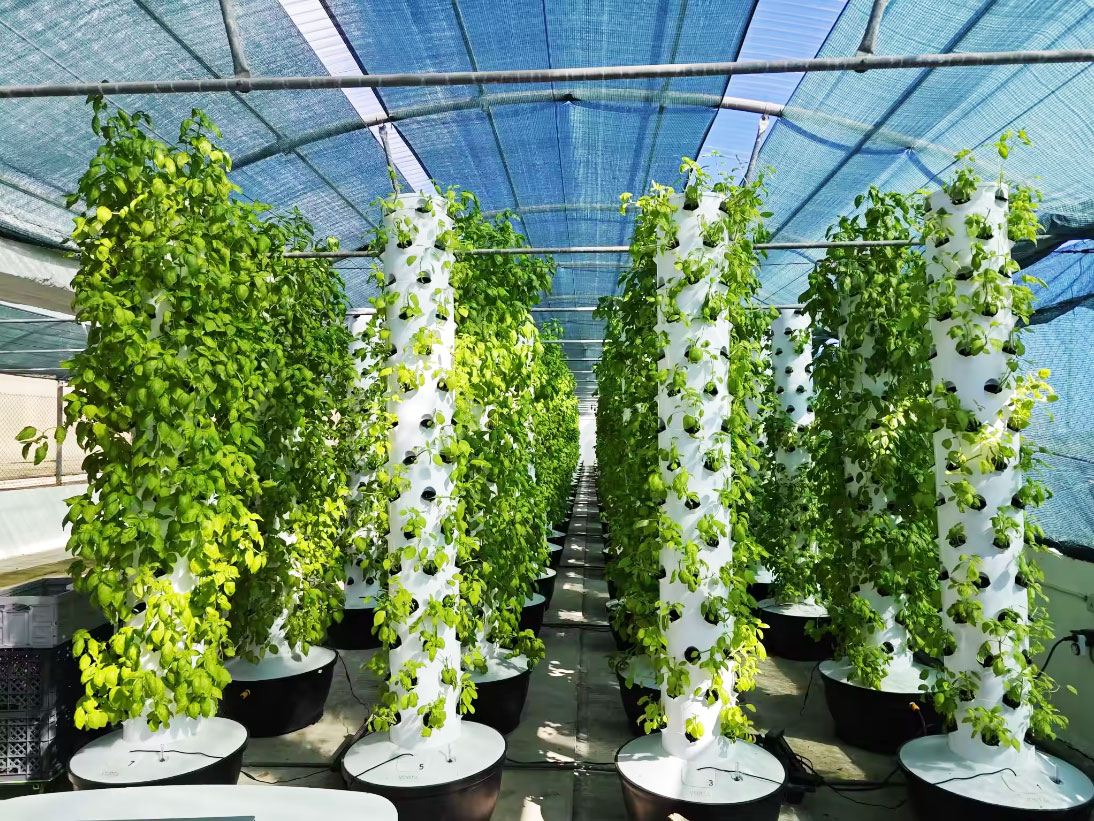 Hoogwaardig, eenvoudig te inst - Hydroponic Tower recensie en prijs