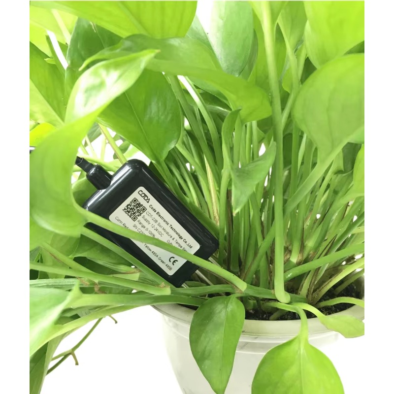 CDT-30B Rs485 0-2v Uitgang Pla - Plant Sensor recensie en prijs