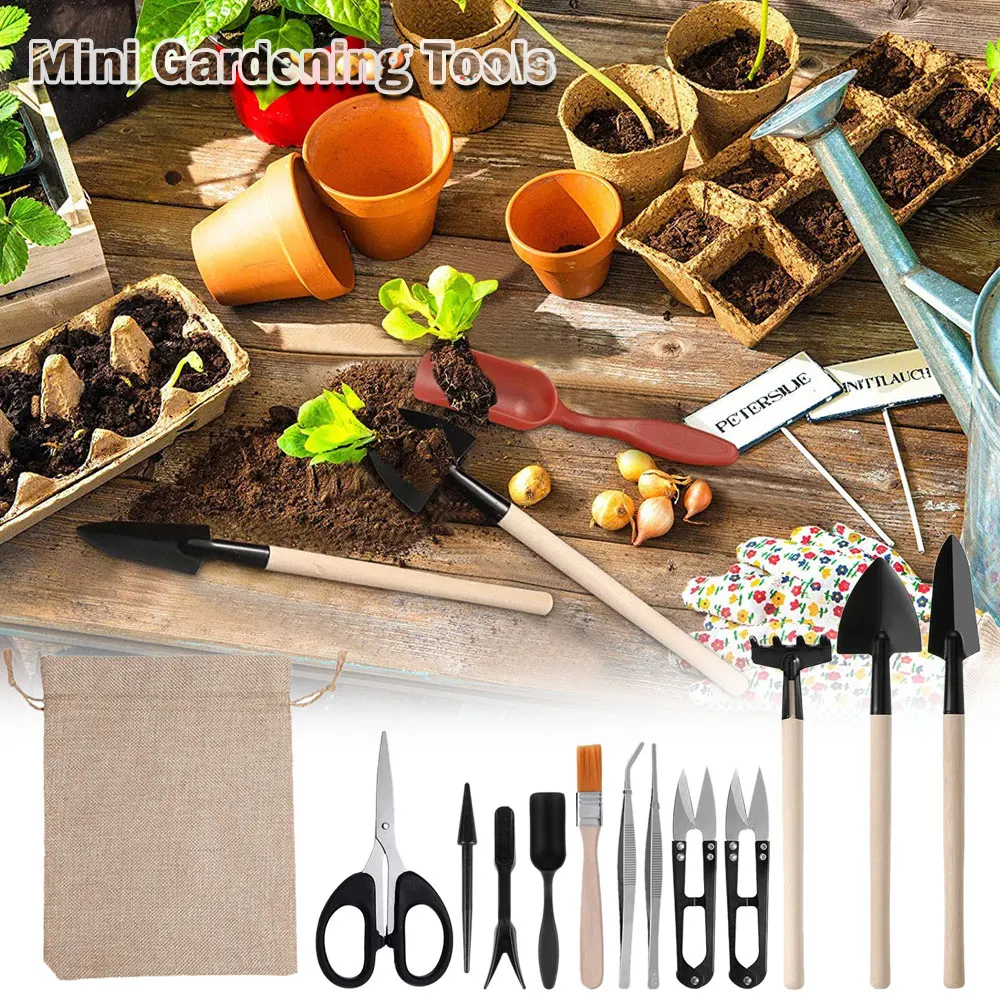 13 Stuks Sappige Planten Geree - Indoor Garden Kit recensie en prijs