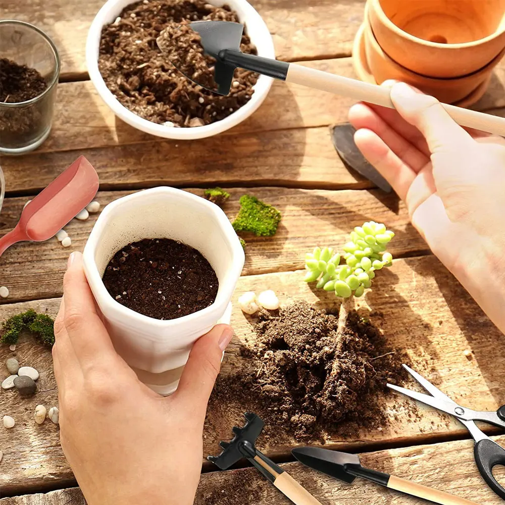 13 Stuks Sappige Planten Geree - Indoor Garden Kit recensie en prijs