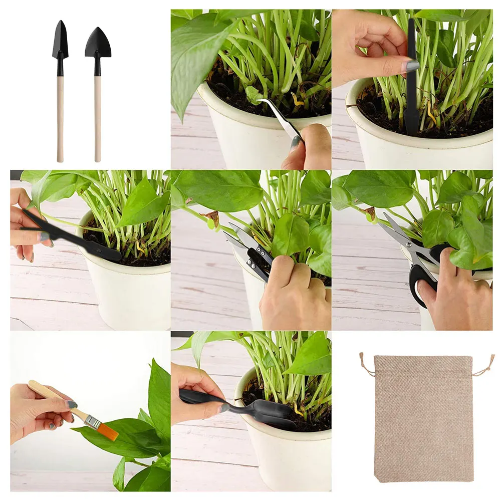 13 Stuks Sappige Planten Geree - Indoor Garden Kit recensie en prijs