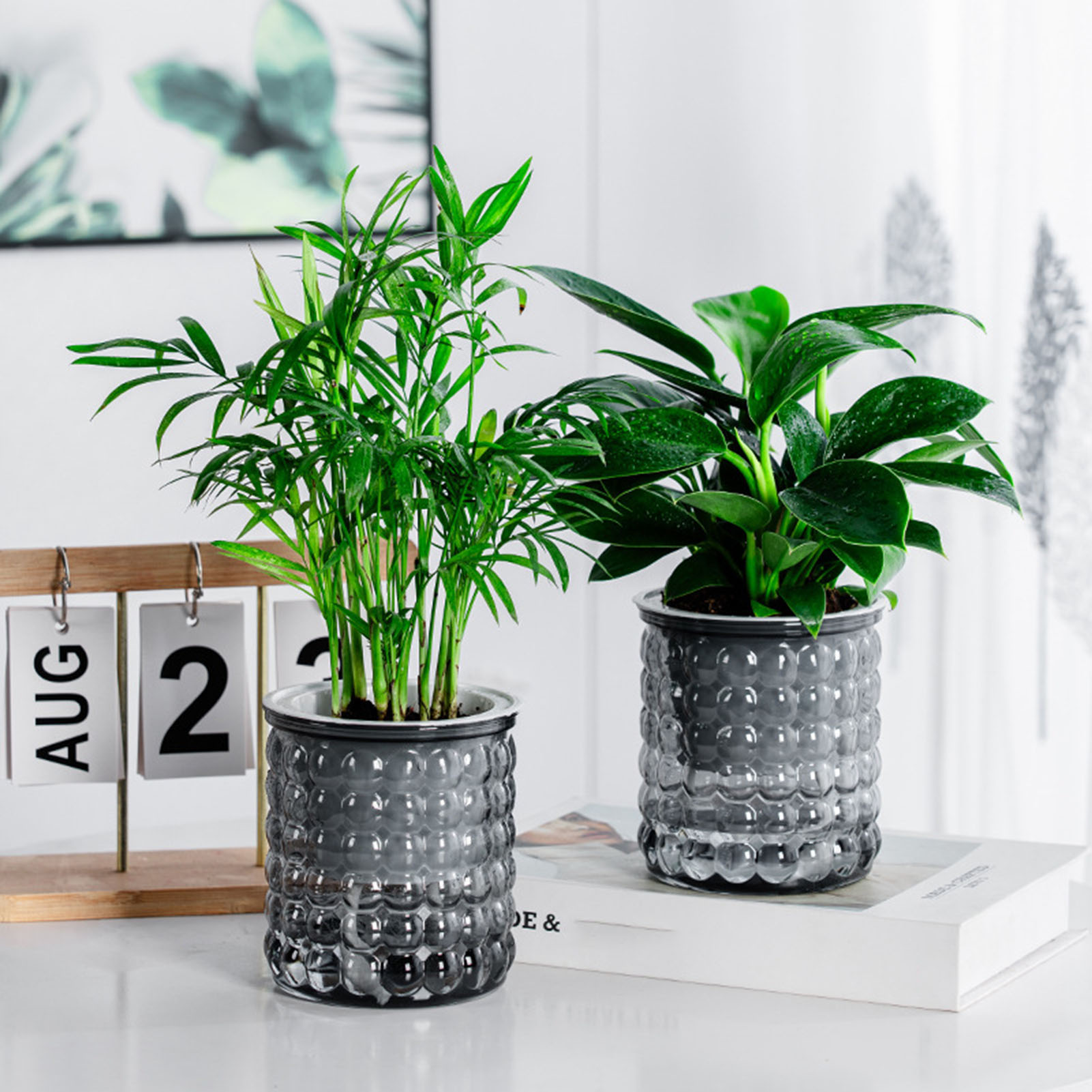Nieuwe Zelf Watering Hydrocult - Hydroponic Grow Pod recensie en prijs