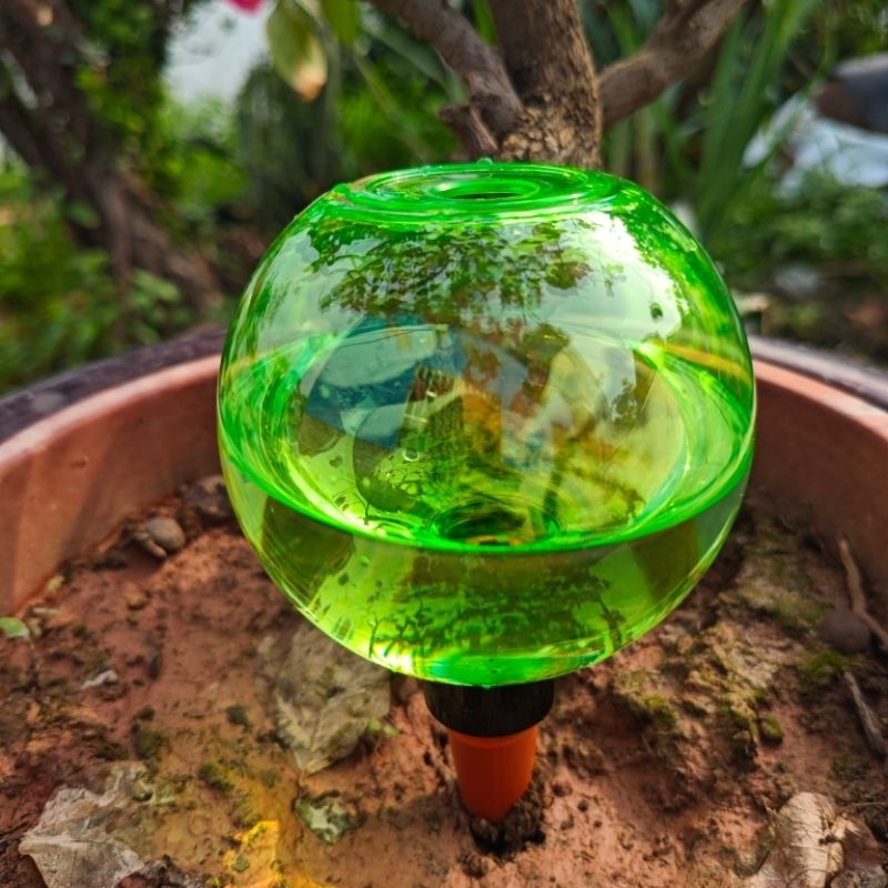 3 stuks grote planten zelfwate - Self Watering Planter recensie en prijs