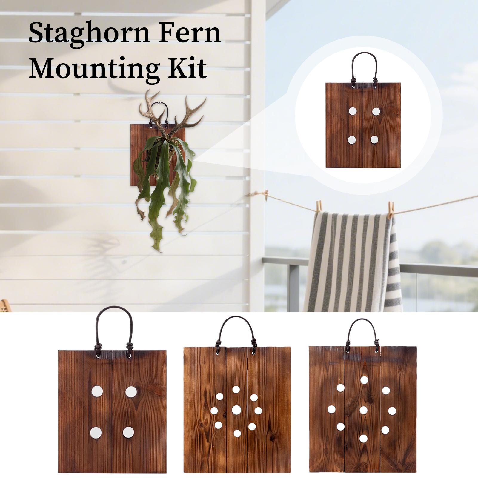 Staghorn Fern Wandmontagebord  - Indoor Garden Kit recensie en prijs