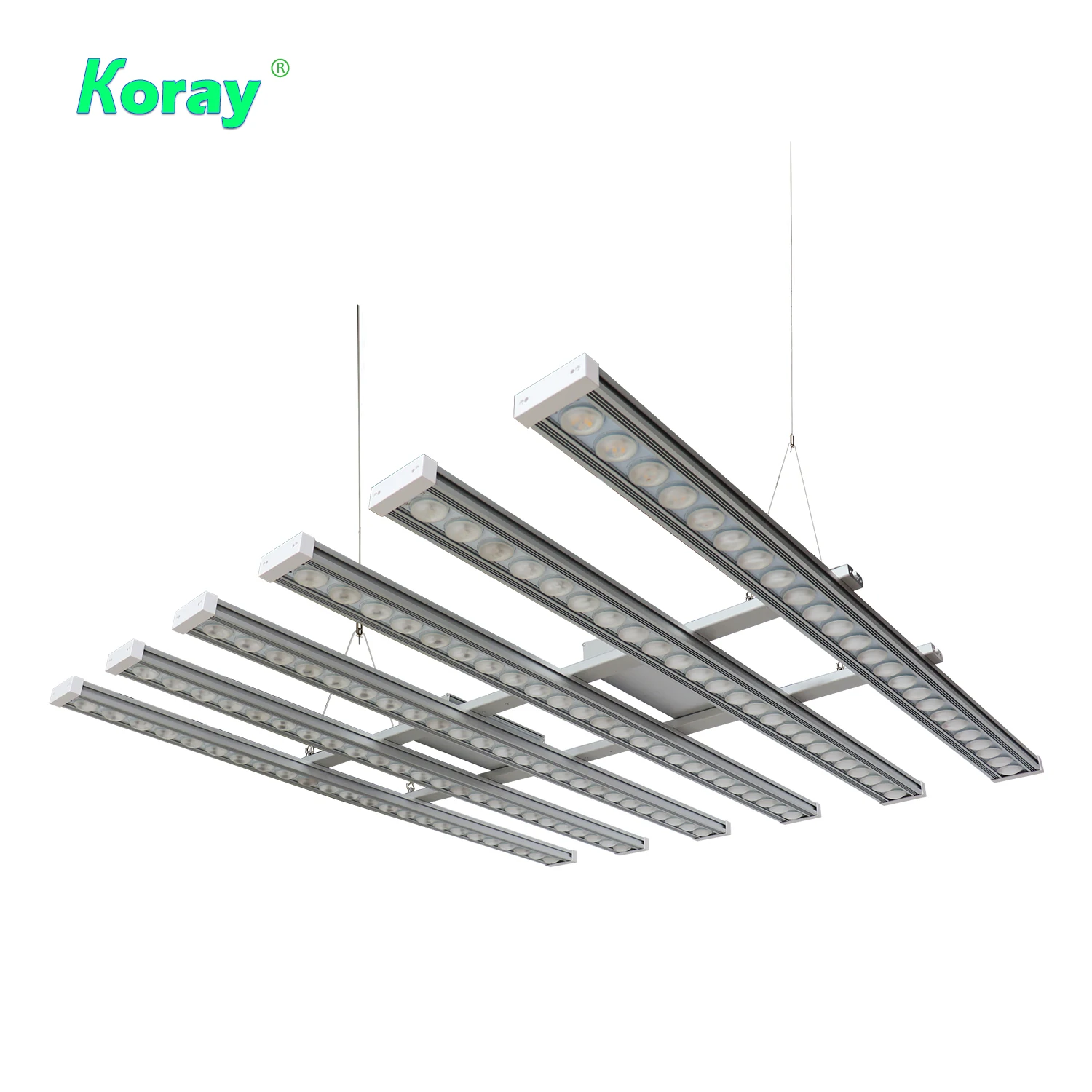 Koray 900W Indoor full spectru - Plant Grow Light Full Spectrum recensie en prijs