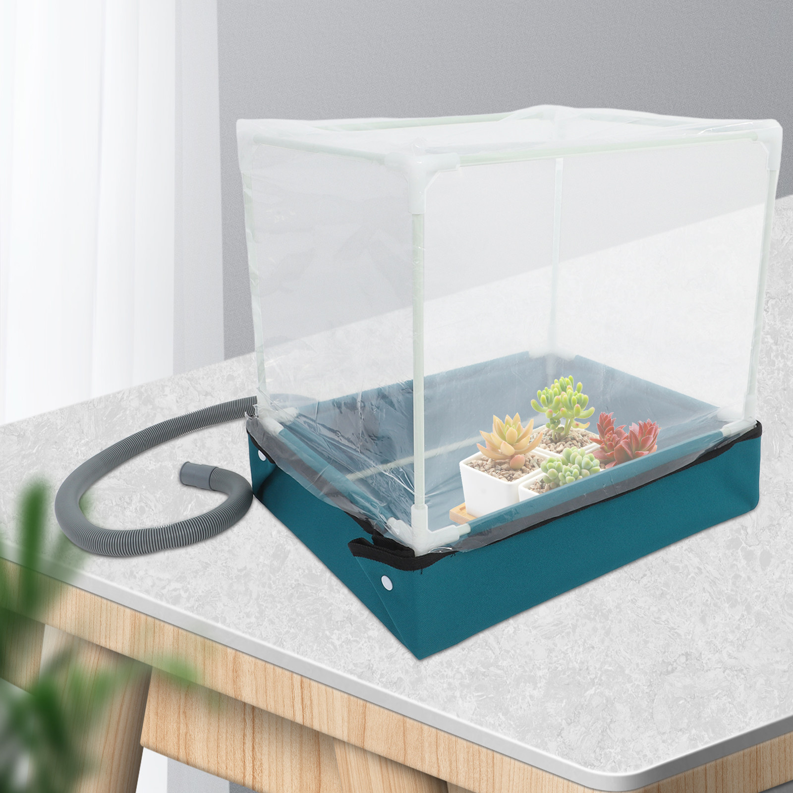 Mini-kweekset voor vetplanten  - Indoor Garden Kit recensie en prijs
