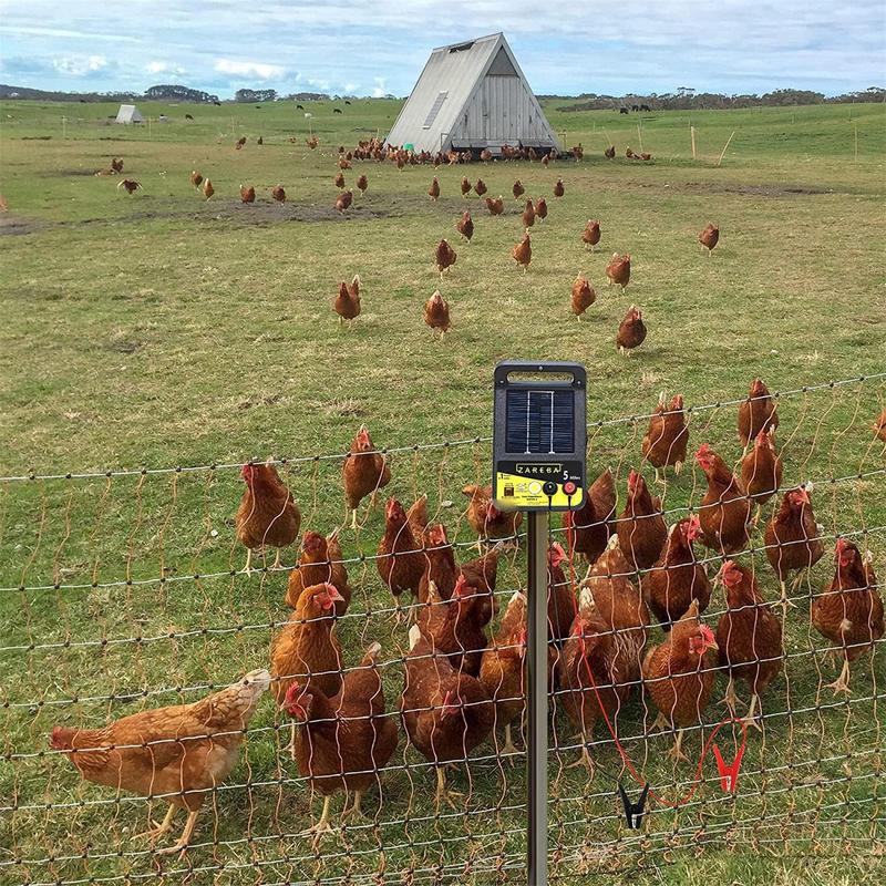 2 Stuks Tuinen Solar Hek Oplad - Smart Garden Kit recensie en prijs