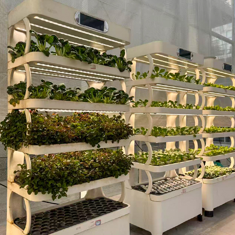 Slimme verticale hydroponische - Smart Garden System recensie en prijs