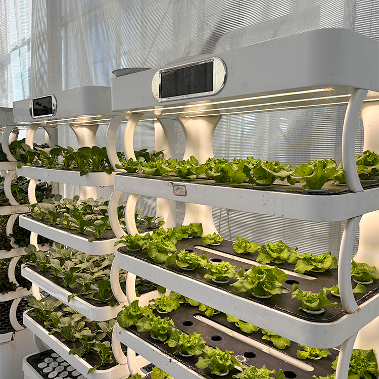 Slimme verticale hydroponische - Smart Garden System recensie en prijs