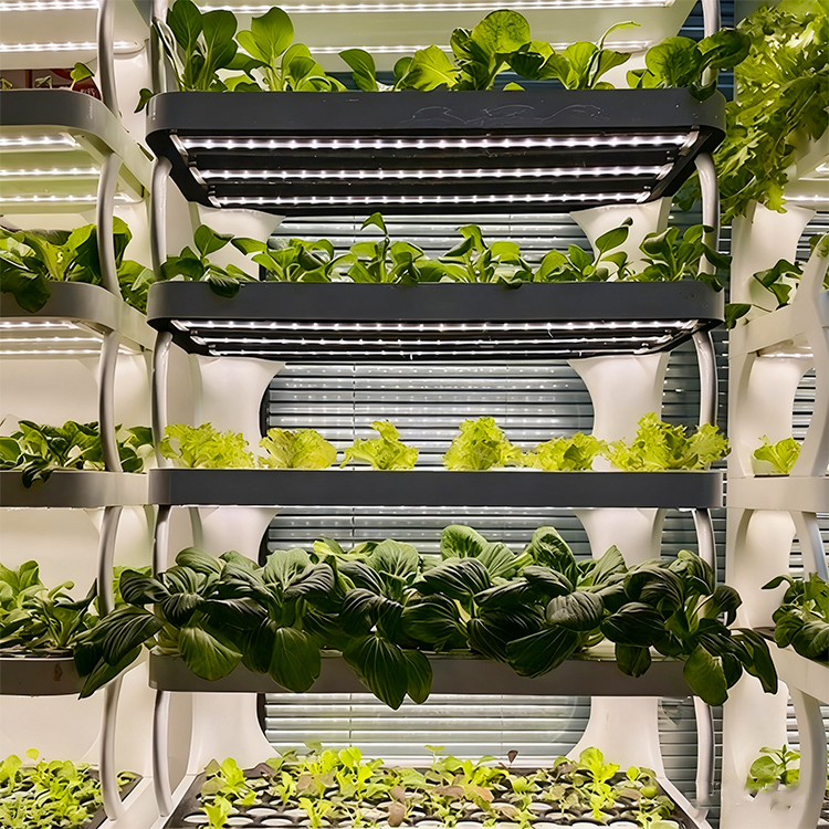 Slimme verticale hydroponische - Smart Garden System recensie en prijs